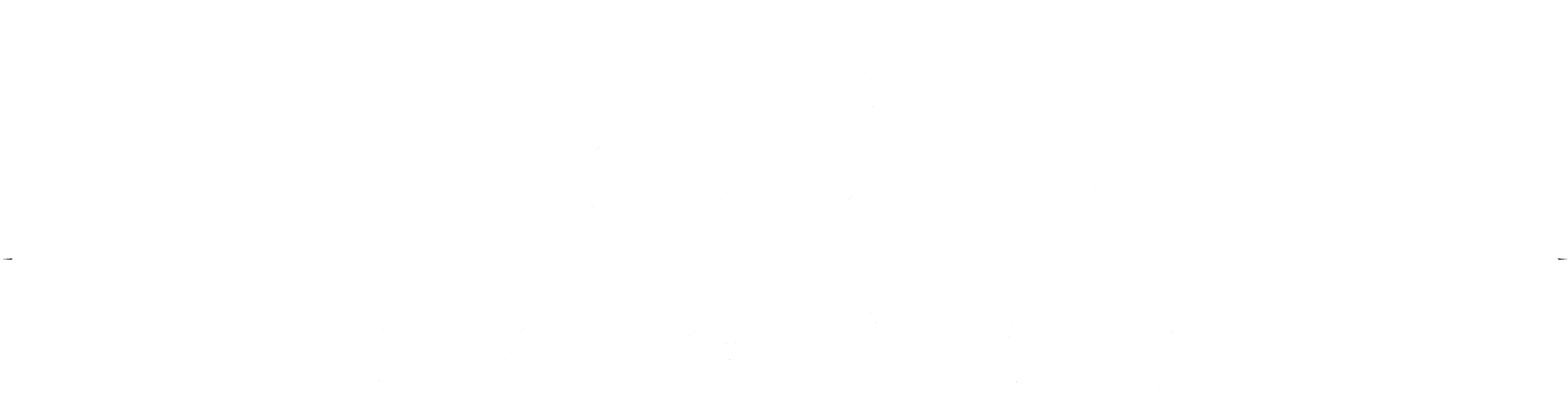 Wash U Racing Logo Text